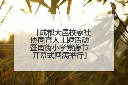 成都大邑校家社协同育人主题活动暨南街小学紫藤节开幕式圆满举行