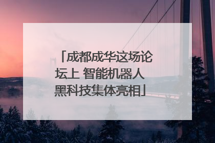 成都成华这场论坛上 智能机器人黑科技集体亮相