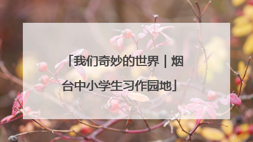 我们奇妙的世界｜烟台中小学生习作园地