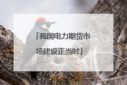 我国电力期货市场建设正当时