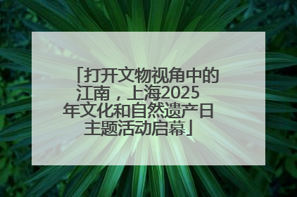 打开文物视角中的江南，上海2025年文化和自然遗产日主题活动启幕