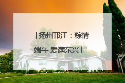 扬州邗江：粽情端午 爱满东兴