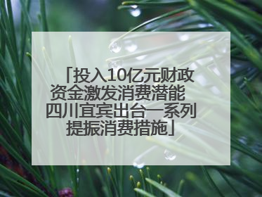 投入10亿元财政资金激发消费潜能 四川宜宾出台一系列提振消费措施