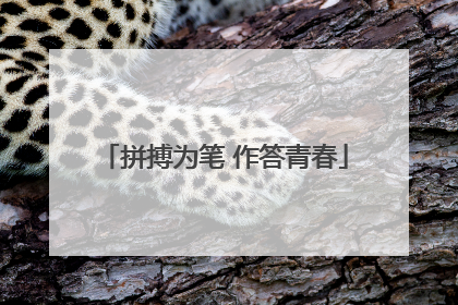 拼搏为笔 作答青春