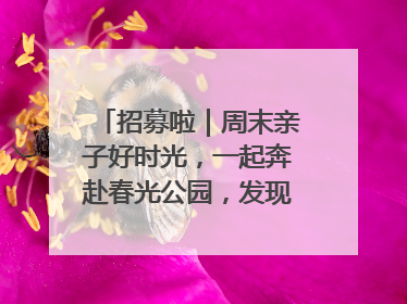 招募啦｜周末亲子好时光，一起奔赴春光公园，发现环上之美！