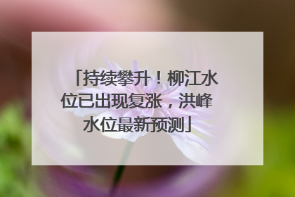 持续攀升！柳江水位已出现复涨，洪峰水位最新预测