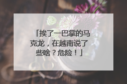 挨了一巴掌的马克龙，在越南说了些啥？危险！
