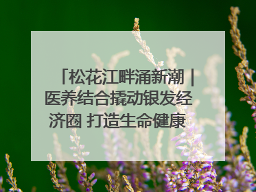 松花江畔涌新潮｜医养结合撬动银发经济圈 打造生命健康产业新样本