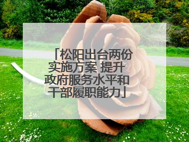 松阳出台两份实施方案 提升政府服务水平和干部履职能力