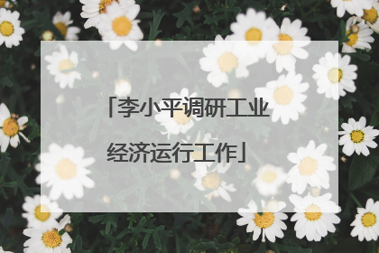 李小平调研工业经济运行工作