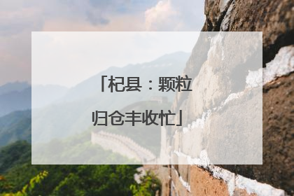 杞县：颗粒归仓丰收忙