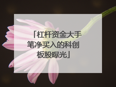 杠杆资金大手笔净买入的科创板股曝光