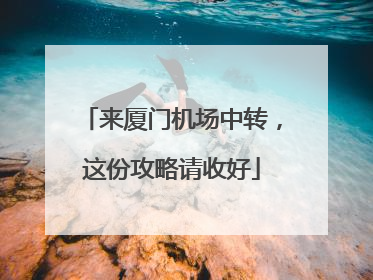 来厦门机场中转，这份攻略请收好
