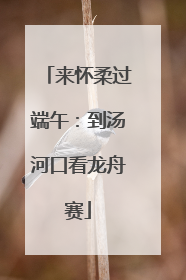 来怀柔过端午：到汤河口看龙舟赛