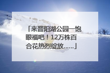 来晋阳湖公园一饱眼福吧！12万株百合花热烈绽放……