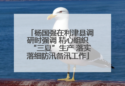 杨国强在利津县调研时强调 精心组织“三夏”生产 落实落细防汛备汛工作
