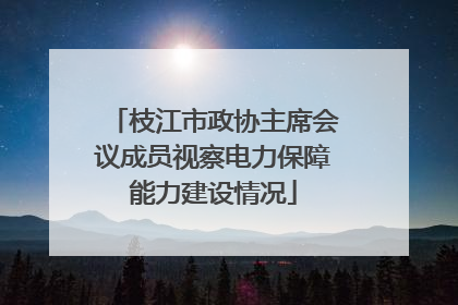 枝江市政协主席会议成员视察电力保障能力建设情况