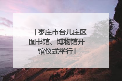 枣庄市台儿庄区图书馆、博物馆开馆仪式举行