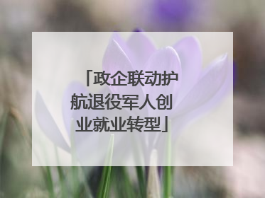 政企联动护航退役军人创业就业转型