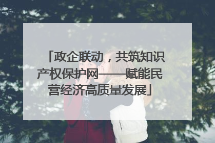 政企联动，共筑知识产权保护网——赋能民营经济高质量发展