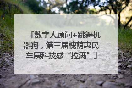 数字人顾问+跳舞机器狗，第三届槐荫惠民车展科技感“拉满”