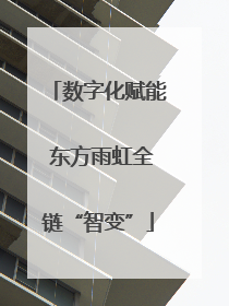 数字化赋能 东方雨虹全链“智变”