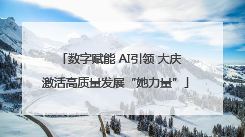 数字赋能 AI引领 大庆激活高质量发展“她力量”