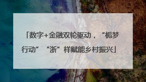 数字+金融双轮驱动，“栀梦行动”“浙”样赋能乡村振兴