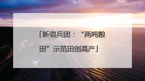 新疆兵团：“两吨粮田”示范田创高产
