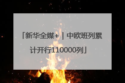 新华全媒+｜中欧班列累计开行110000列