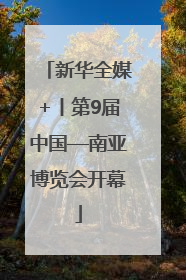 新华全媒+丨第9届中国—南亚博览会开幕