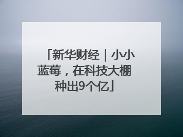 新华财经｜小小蓝莓，在科技大棚种出9个亿