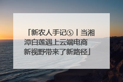 新农人手记⑤丨当湘潭白莲遇上云端电商 新视野带来了新路径
