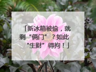 新冰箱被偷，就剩“俩门”？如此“生财”得拘！