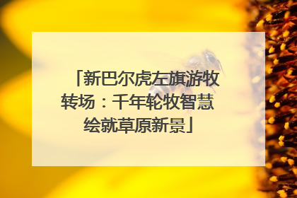 新巴尔虎左旗游牧转场：千年轮牧智慧绘就草原新景
