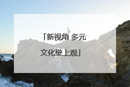 新视角 多元文化壁上观