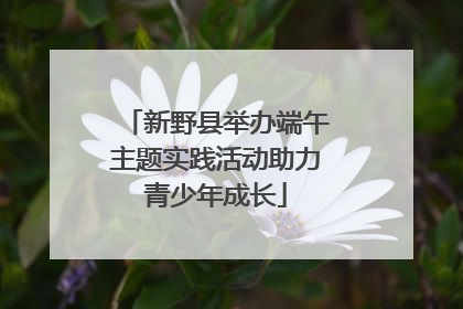 新野县举办端午主题实践活动助力青少年成长