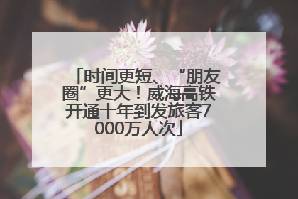 时间更短、“朋友圈”更大！威海高铁开通十年到发旅客7000万人次