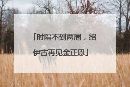 时隔不到两周，绍伊古再见金正恩