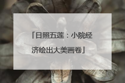 日照五莲：小院经济绘出大美画卷