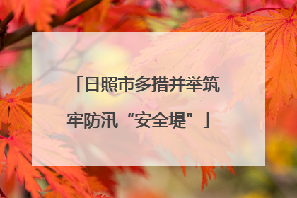 日照市多措并举筑牢防汛“安全堤”