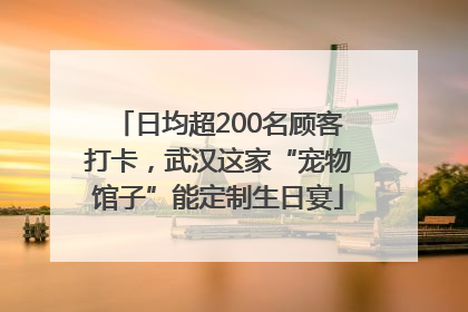 日均超200名顾客打卡，武汉这家“宠物馆子”能定制生日宴