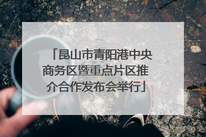昆山市青阳港中央商务区暨重点片区推介合作发布会举行