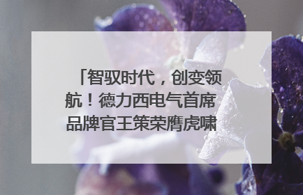 智驭时代，创变领航！德力西电气首席品牌官王策荣膺虎啸奖年度品牌人物
