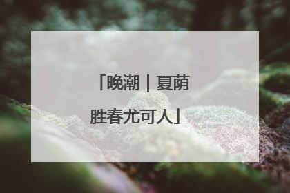 晚潮｜夏荫胜春尤可人