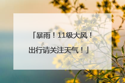 暴雨！11级大风！出行请关注天气！
