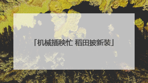 机械插秧忙 稻田披新装