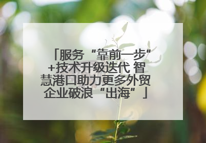 服务“靠前一步”+技术升级迭代 智慧港口助力更多外贸企业破浪“出海”