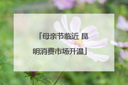 母亲节临近 昆明消费市场升温