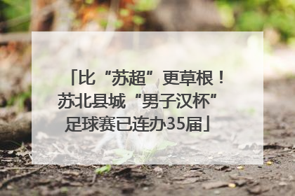 比“苏超”更草根！苏北县城“男子汉杯”足球赛已连办35届